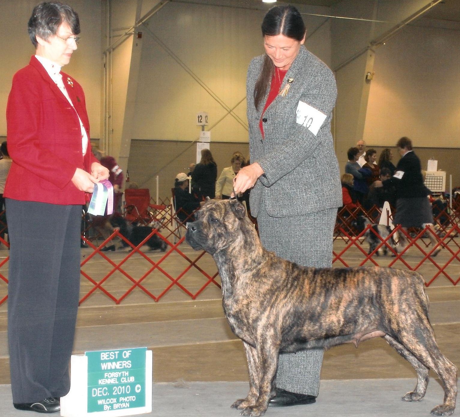 AKC Grand Champion Gator Country Voodoo